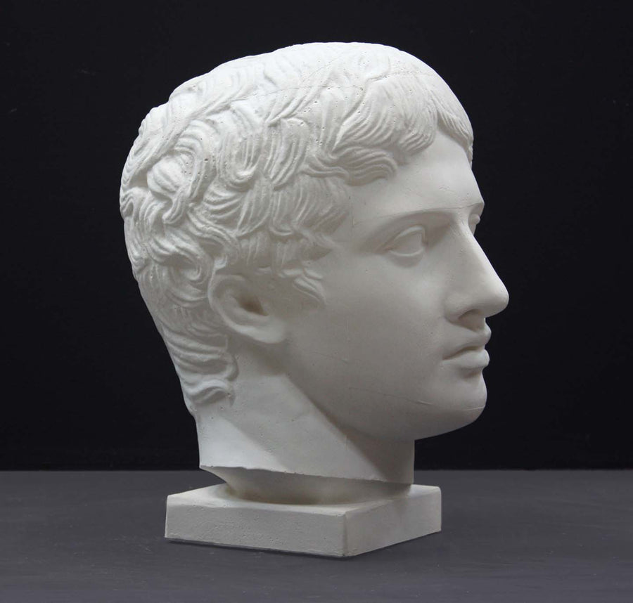 photo of plaster cast sculpture of head of the Doryphoros, male with curly hair, on dark gray background