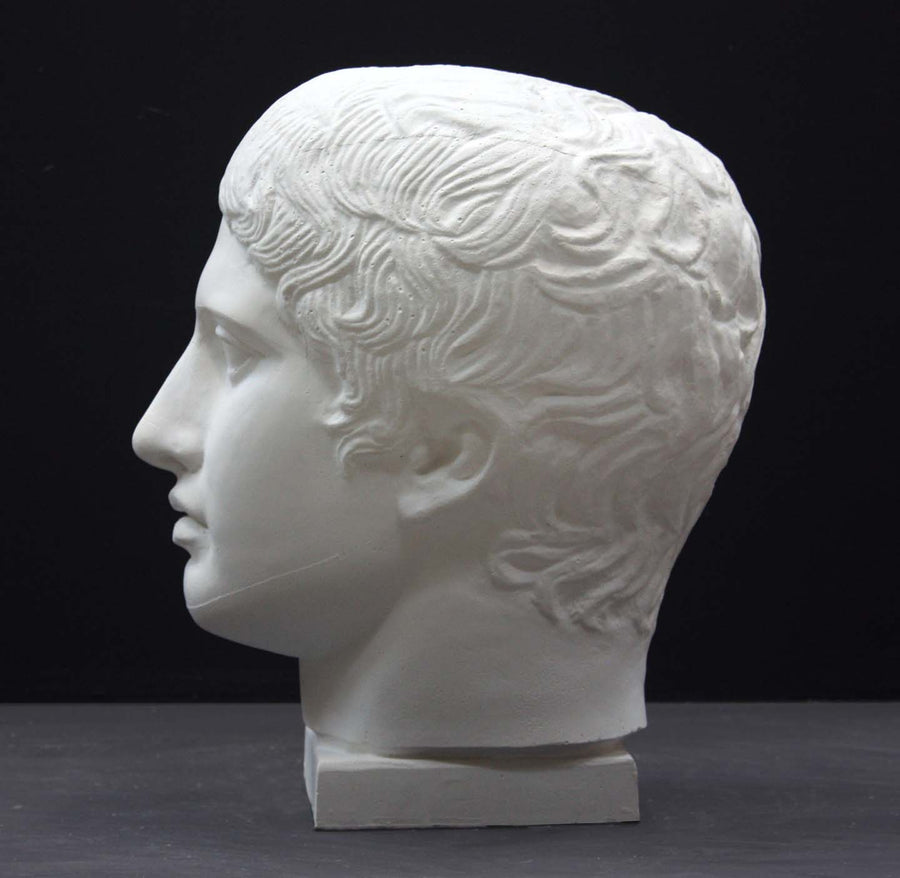 photo of plaster cast sculpture of head of the Doryphoros, male with curly hair, on dark gray background