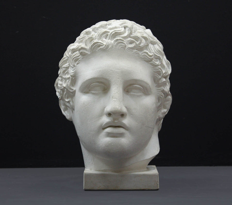 photo of plaster cast sculpture of head of Lansdowne Hercules with curly hair and headpiece on dark gray background