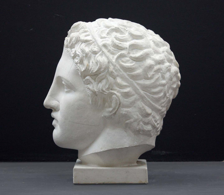 photo of plaster cast sculpture of head of Lansdowne Hercules with curly hair and headpiece on dark gray background