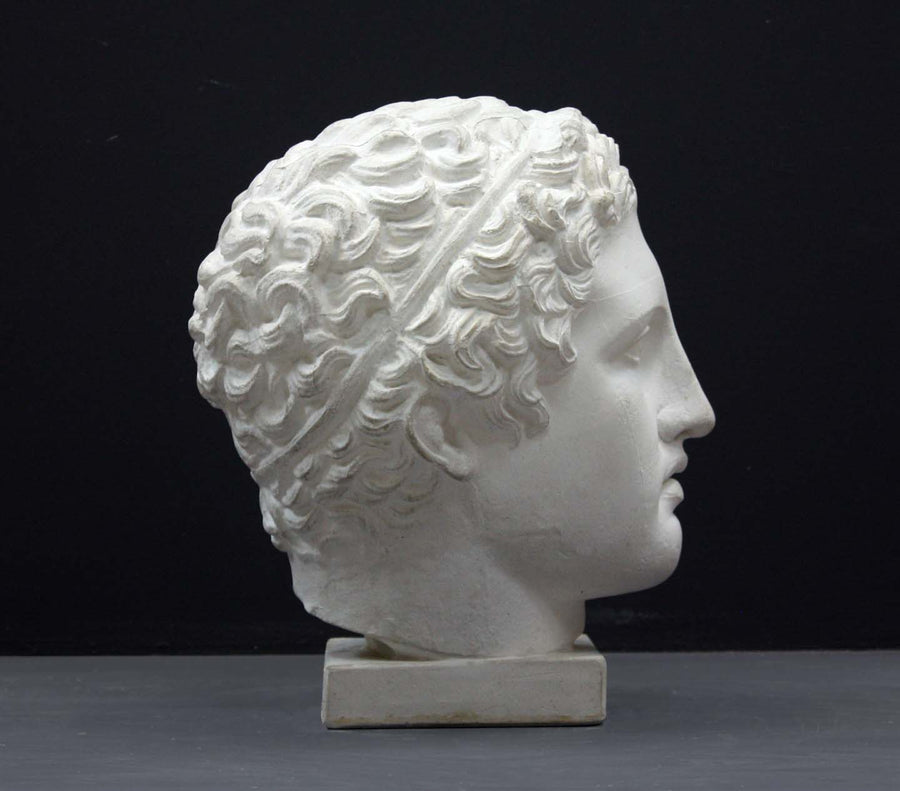 photo of plaster cast sculpture of head of Lansdowne Hercules with curly hair and headpiece on dark gray background