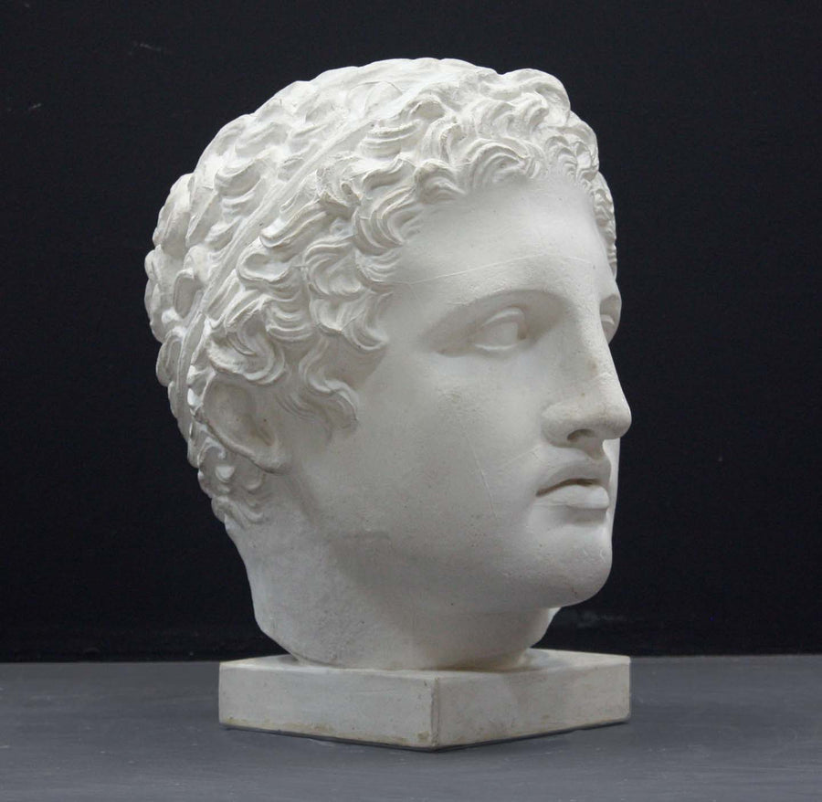 photo of plaster cast sculpture of head of Lansdowne Hercules with curly hair and headpiece on dark gray background