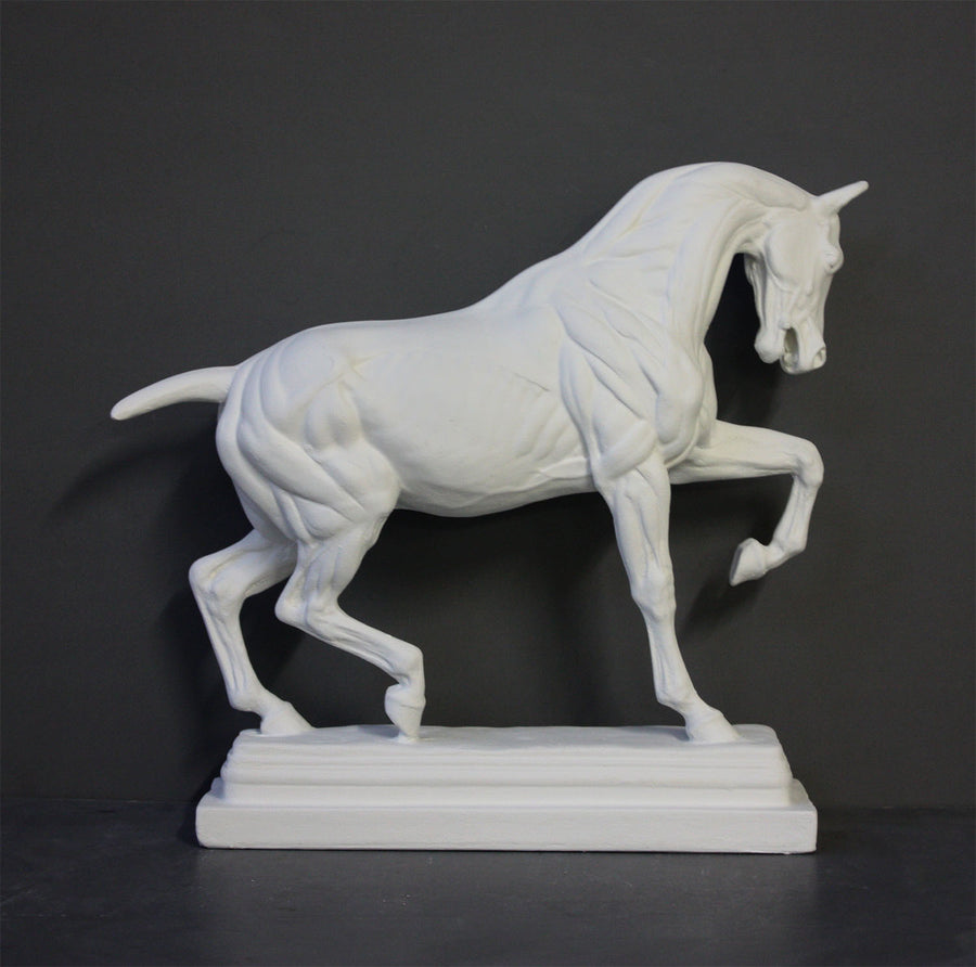 photo of white plaster cast sculpture of horse ecorche on gray background