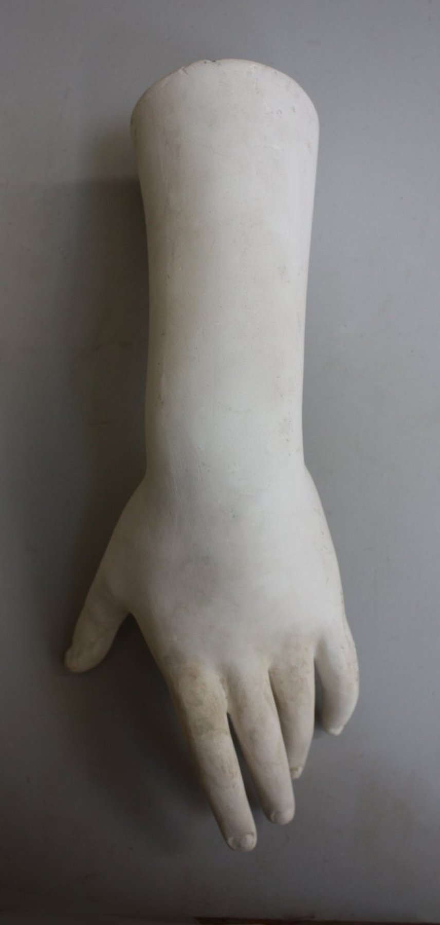 Left Hand of Venus de' Medici - Item #604