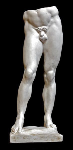 Male Torso - Item #620