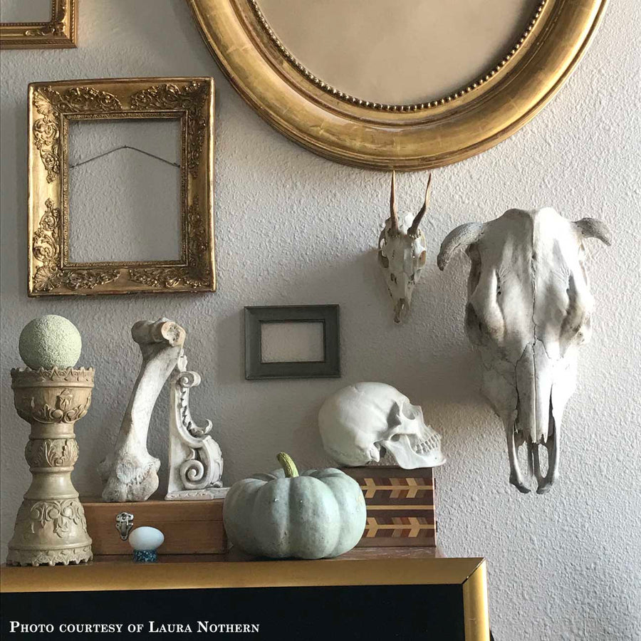 Photo of plaster cast sculpture of Renaissance bracket leaning against a bone near skulls and a pumpkin with empty picture frames on the wall behind