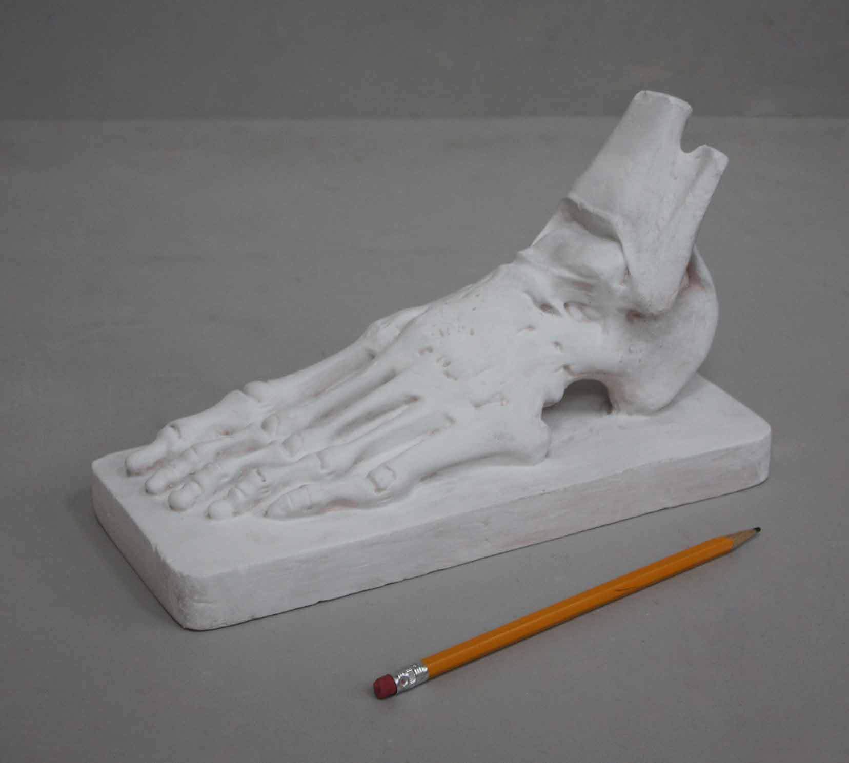 photo of white plaster cast sculpture of flayed left foot on a rectangular base and a yellow pencil laying nearby against gray background