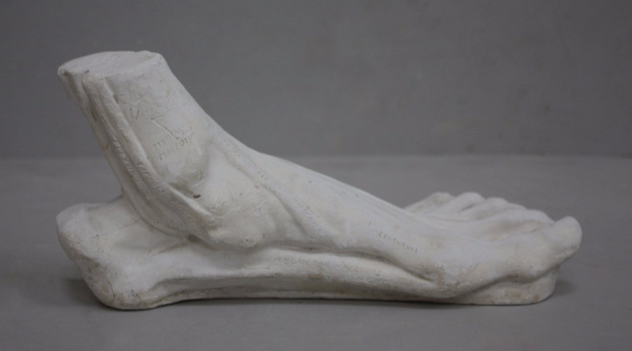 photo with gray background of plaster cast sculpture of flayed left foot on panel
