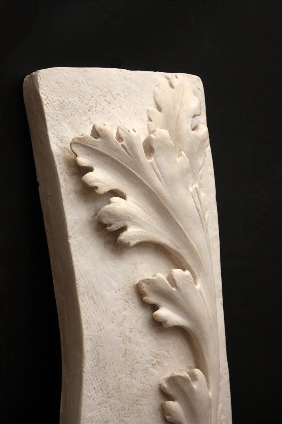 closeup photo of off-white plaster cast relief sculpture of acanthus leaf against black background
