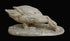 Photo with black background of plaster cast sculpture of goose bending to eat