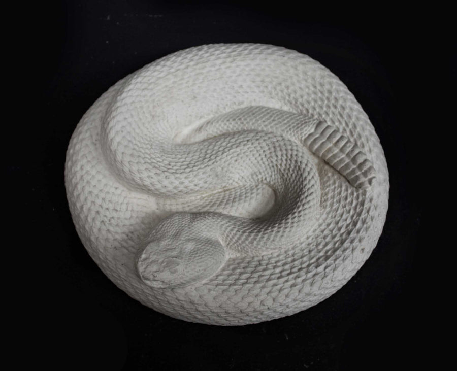 Photo of a plaster cast sculpture of a snake on a black background