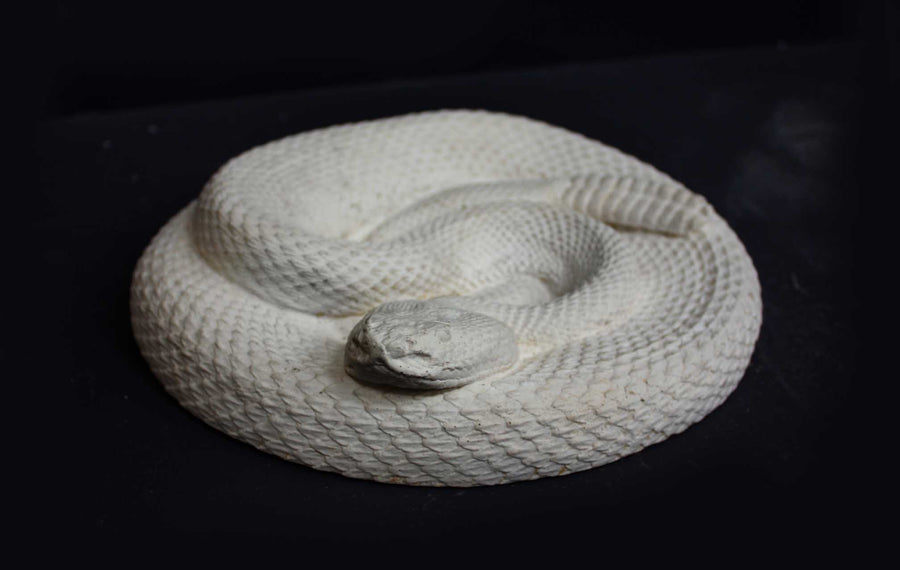 Photo of a plaster cast sculpture of a snake on a black background