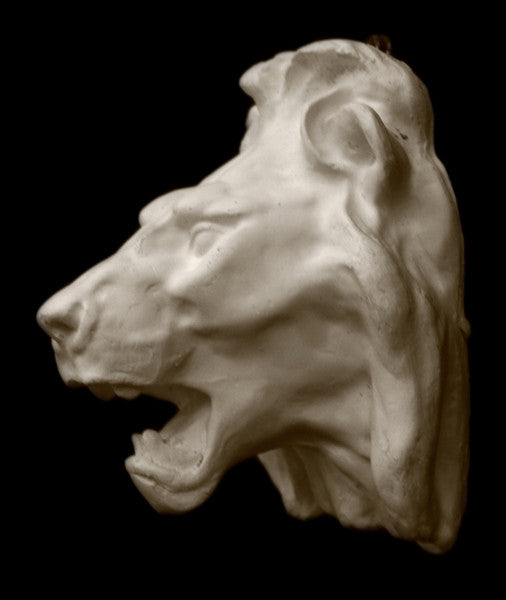 Lion - Item #705