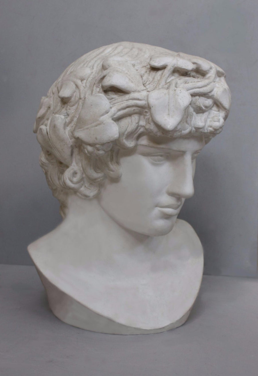 photo with gray background of plaster cast of male bust of Antinous with crown of leaves