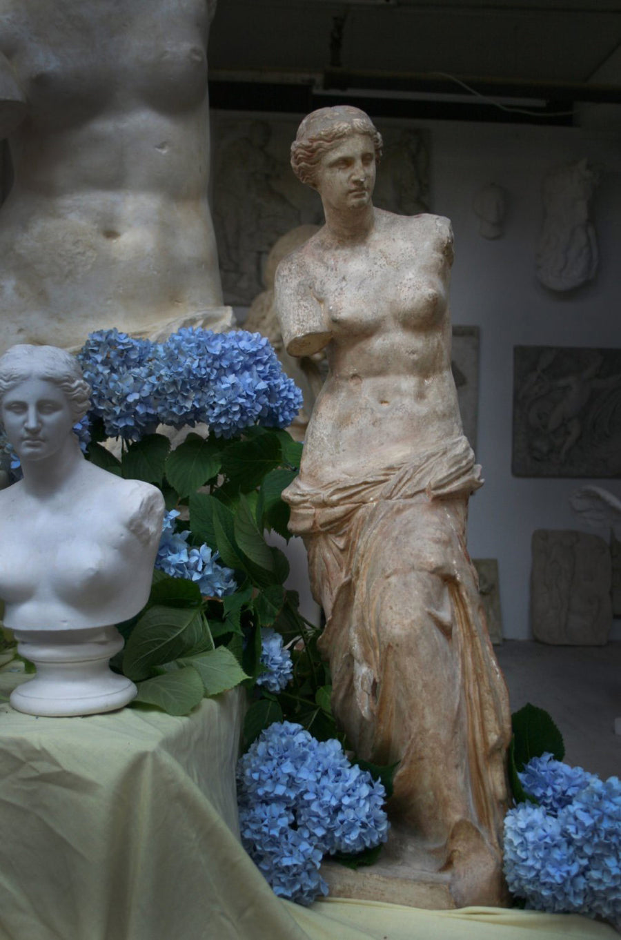 photo of plaster cast statues of partially nude female Venus de Melo on top of yellow cloth with blue flowers