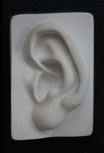 Photo of plaster cast sculpture of left ear on panel from Michelangelo's David statue on a black background