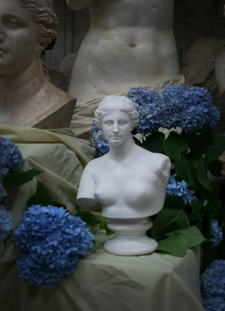 photo with plaster cast bust of woman, namely Venus, on table with yellow sheet and two tall figure casts in background and blue hydrangeas