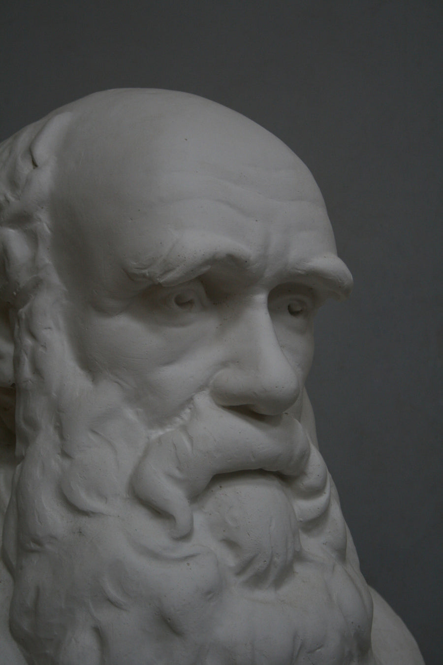 closeup photo with gray background of plaster cast bust of man, namely Charles Darwin, with suit jacket and long beard